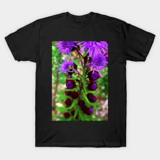 Bumble Bee and Purple Flower T-Shirt